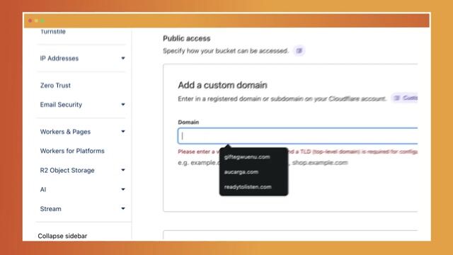 Using Cloudflare Managed Subdomain for Public Access